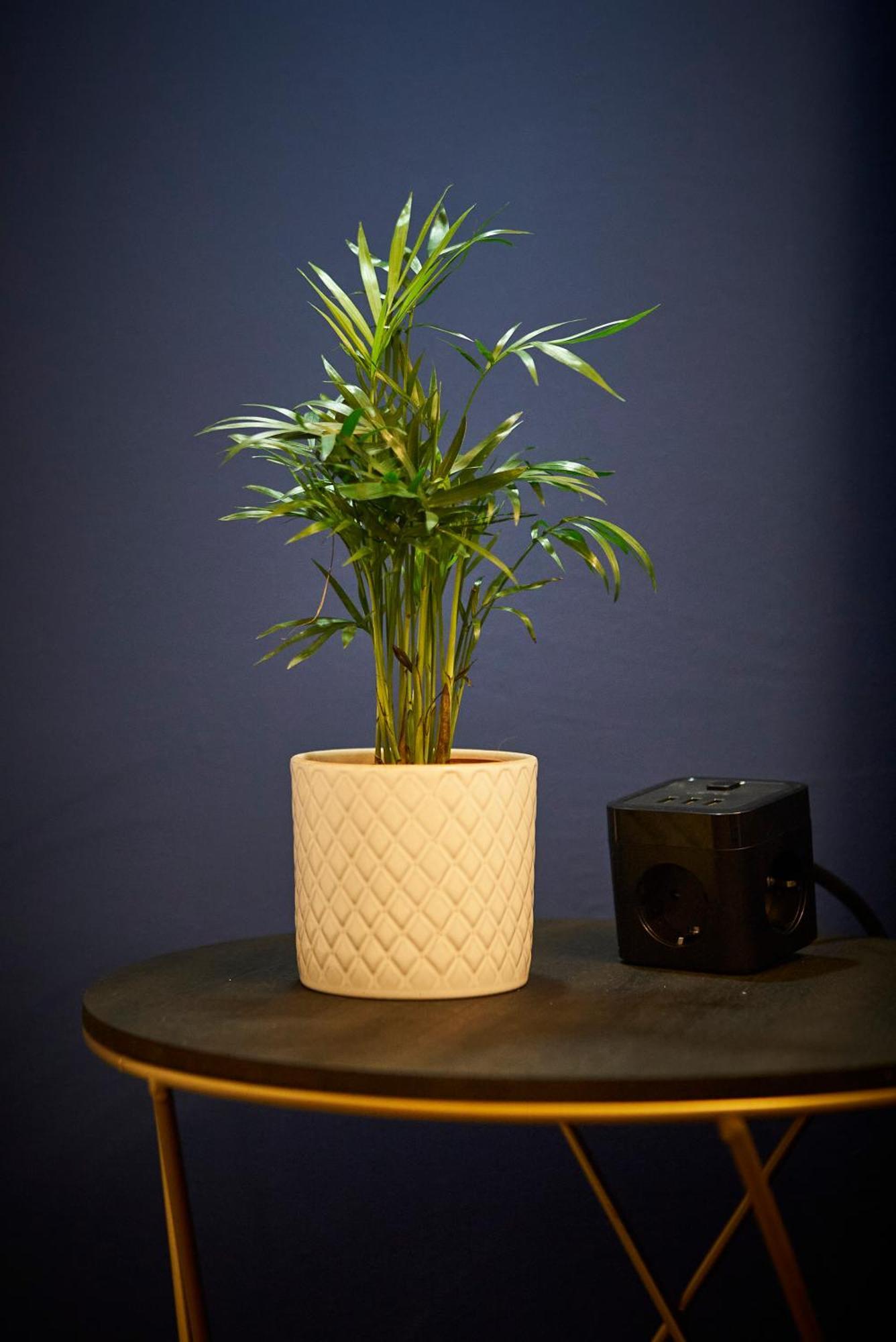 Nove Boutique Apartments Wenen Buitenkant foto
